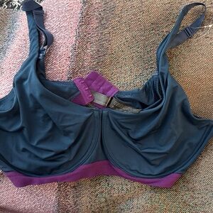 Natori Navy and Plum Bra